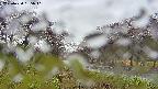 takano1-20250430155015.jpg