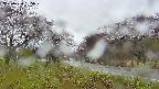 takano1-20250430165015.jpg