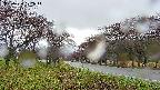 takano1-20250430172017.jpg