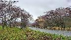 takano1-20250430174017.jpg