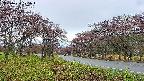 takano1-20250430175018.jpg