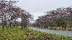 takano1-20250430181016.jpg