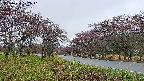 takano1-20250430182017.jpg