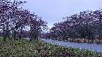 takano1-20250430183018.jpg