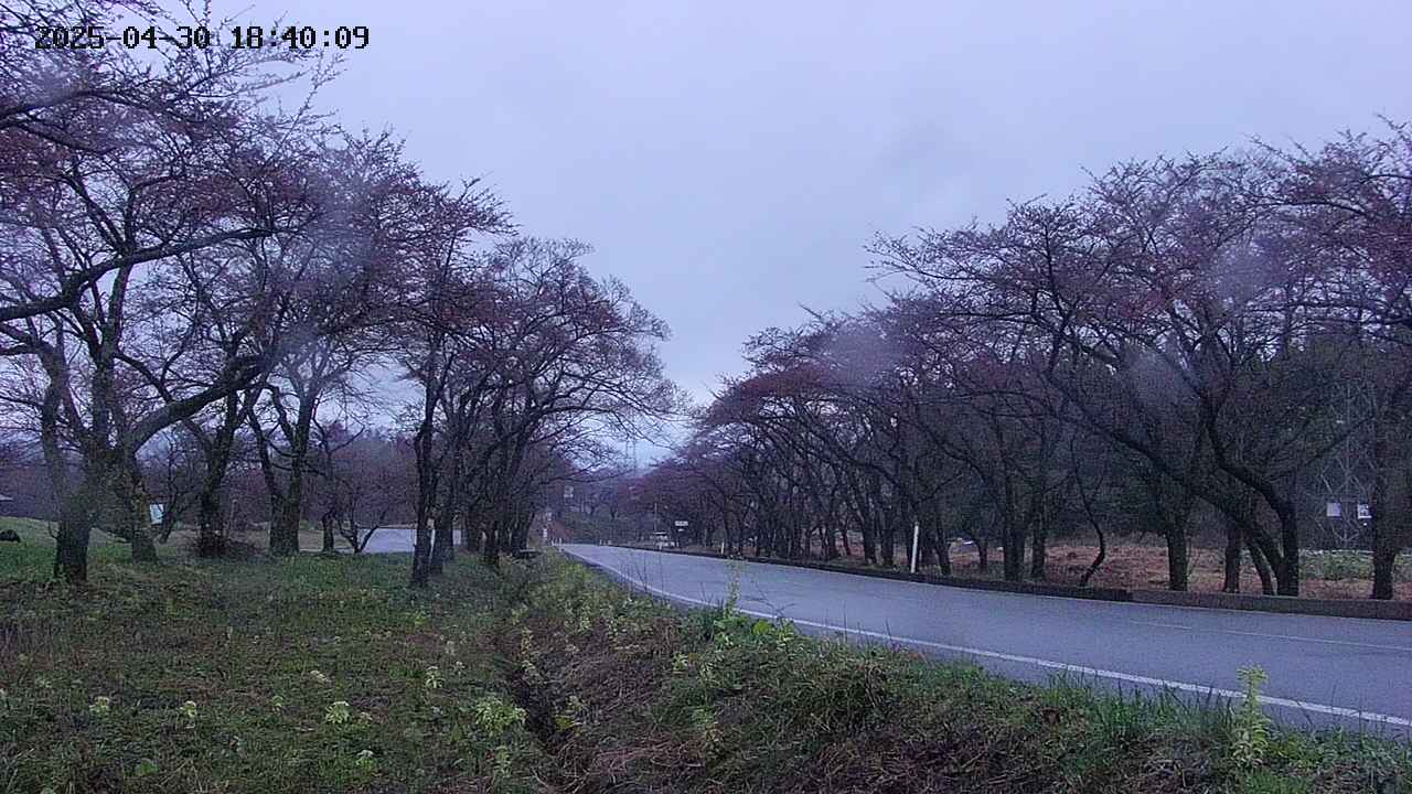 takano1-20250430184016.jpg