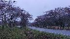takano1-20250430184016.jpg