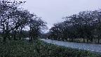 takano1-20250430185016.jpg