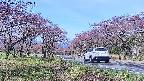 takano1-20250501082019.jpg