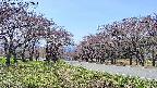 takano1-20250501122018.jpg