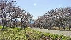 takano1-20250501142018.jpg