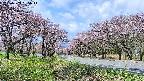 takano1-20250503095015.jpg