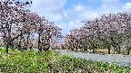takano1-20250503100017.jpg