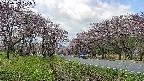 takano1-20250503101017.jpg
