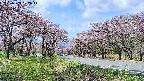 takano1-20250503102015.jpg