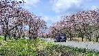 takano1-20250503103018.jpg