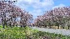 takano1-20250503104016.jpg