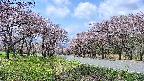 takano1-20250503105017.jpg