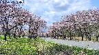 takano1-20250503110017.jpg