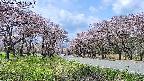 takano1-20250503111016.jpg