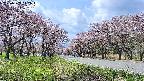 takano1-20250503112016.jpg