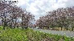 takano1-20250503113016.jpg