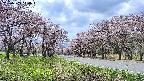 takano1-20250503114017.jpg