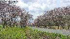 takano1-20250503120015.jpg