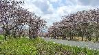 takano1-20250503121016.jpg