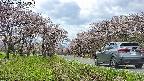 takano1-20250503122016.jpg