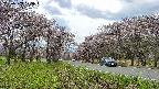 takano1-20250503125016.jpg