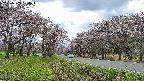 takano1-20250503130017.jpg
