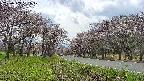 takano1-20250503131018.jpg