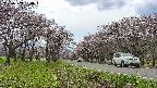takano1-20250503134017.jpg