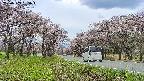 takano1-20250503135014.jpg