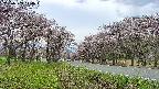 takano1-20250503140017.jpg