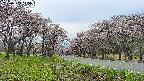 takano1-20250503145016.jpg
