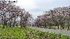 takano1-20250503150017.jpg