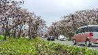 takano1-20250503151016.jpg