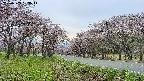 takano1-20250503153015.jpg