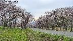 takano1-20250503154016.jpg