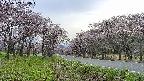 takano1-20250503160017.jpg