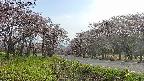 takano1-20250503162017.jpg