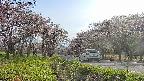 takano1-20250503163016.jpg
