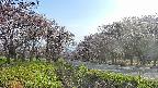 takano1-20250503164016.jpg