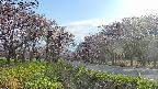 takano1-20250503165017.jpg