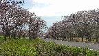 takano1-20250503170016.jpg