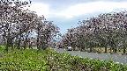 takano1-20250503171016.jpg