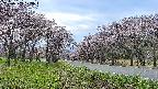 takano1-20250503173017.jpg
