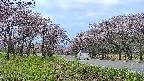 takano1-20250503174015.jpg