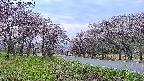 takano1-20250503175017.jpg